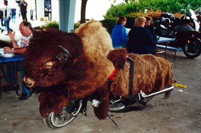Buffalo Bike